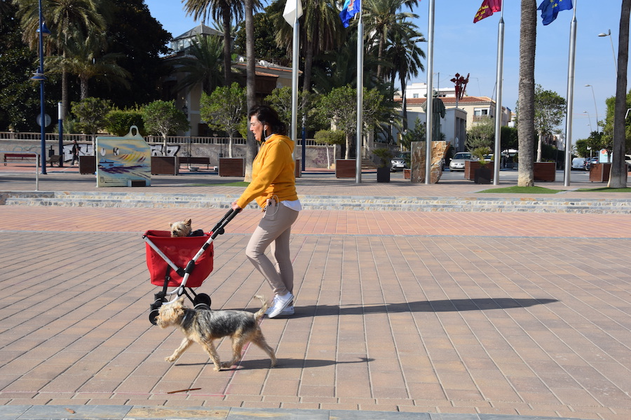 Una mujer pasea sus perros por La Ribera