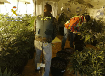 La plantación de marihuana 'indoor' desmontada en San Javier
