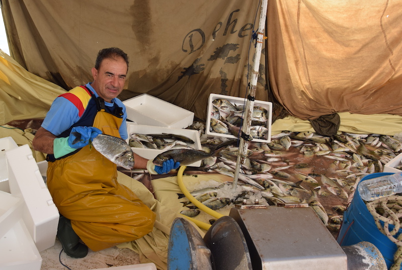 Francisco Javier Martínez Castejón 'El Largo' sonríe rodeado de doradas
