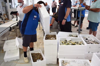 Dos compradores cargan los langostinos en la lonja de Lo Pagán