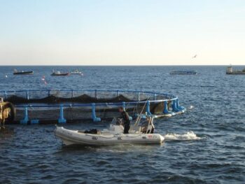 Dos trabajadores de las granjas de acuicultura en la costa de San Pedro