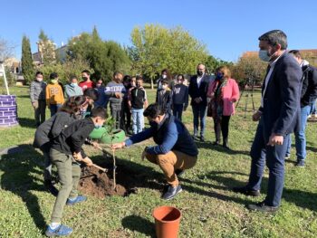 Plantación de árboles frutales en el colegio Severo Ochoa, de San Javier