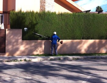 Un jardinero trabaja en una vivienda de San Javier