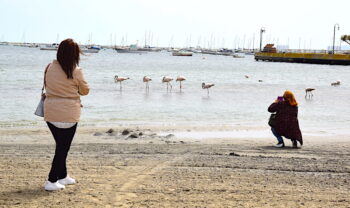 Unas turistas fotografían a los flamencos en Lo Pagán