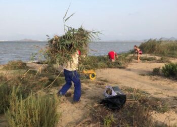 Vecinos limpian la playa de Bahía Bella, en Cartagena
