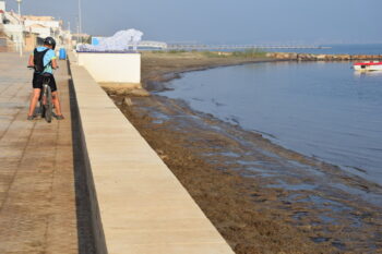 La playa de Los Nietos, cubierta de algas y fango
