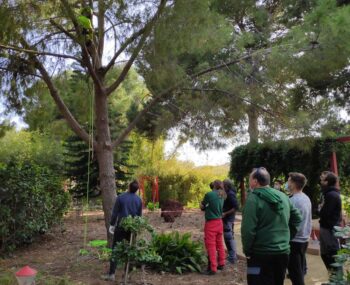 Trabajos en el CIFEA de Torre Pacheco