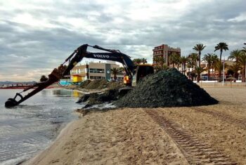Remangado de arenas en La Ribera