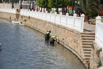 Retirada de ova y peces muertos en el Atalayón