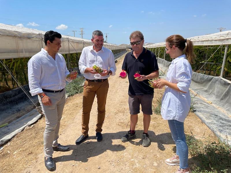 Finca de San Javier con pitaya