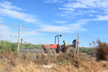 Un agricultor trabaja con su tractor en el entorno del Mar Menor