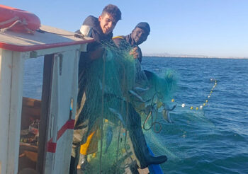Un pescador del Mar Menor con las redes llenas de doradas