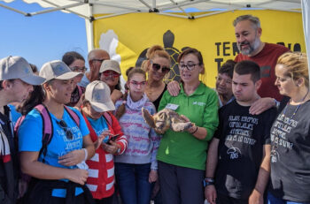Liberación de una tortuga boba en la playa de San Pedro del Pinatar