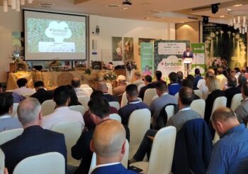 Asamblea de +Brocoli