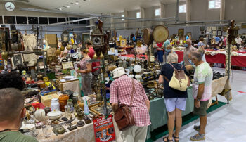 El veranillo de San Martín se instala durante todo el fin de semana en el Mar Menor. Podremos disfrutar de los deportes náuticos, paseos, de fiestas locales y de la naturaleza. Para los más culturetas se reservan conciertos de música clásica, así como presentaciones de libros. Los coleccionistas y amigos de lo vintage pueden buscar aquellas piezas que siempre anhelaron tener en la mayor feria de desembalaje de la Región. Y para los que simplemente no quieren hacer nada este es su momento. Ánimo.