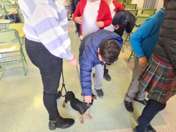 Uno de los perros que participan en las charlas escolares