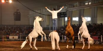 Los aficionados a los caballos disfrutaran este fin de semana con un completo programa en su cita anual. El arte urbano despliega un amplio abanico de posibilidades estéticas y la música clásica y la danza pondrán la guinda cultural. Competiciones polideportivas no faltaran. Otro fin de semana donde está prohibido aburrirse.