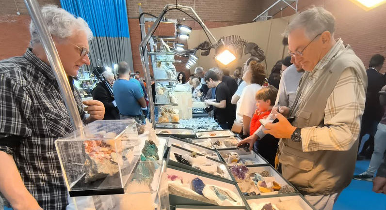 La XXVII Feria de Minerales y Fósiles de La Unión