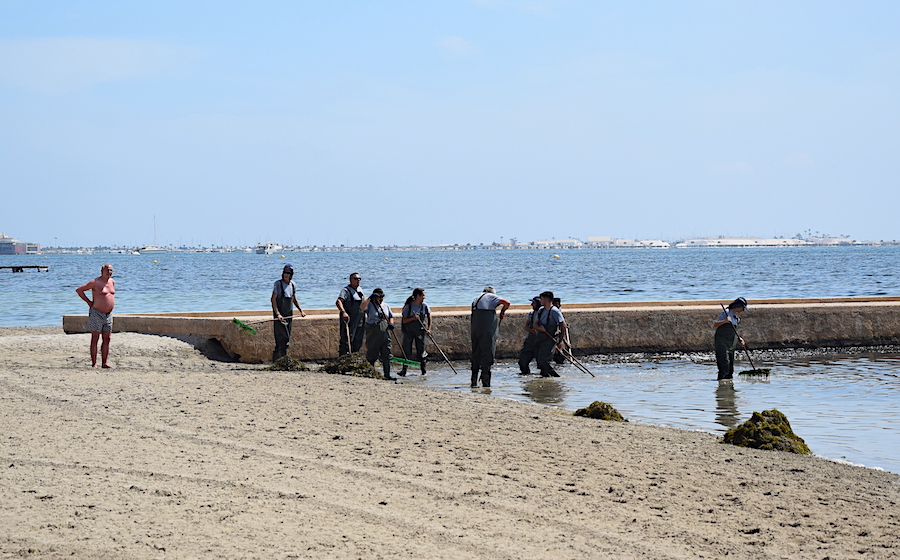 Una cuadrilla de operarios retira biomasa en la playa de La Ribera