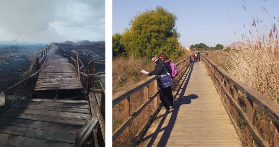 La Hita, antes y después del fuego