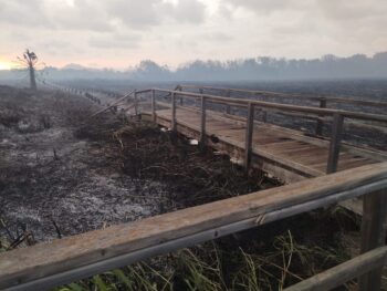 La Hita tras el incendio