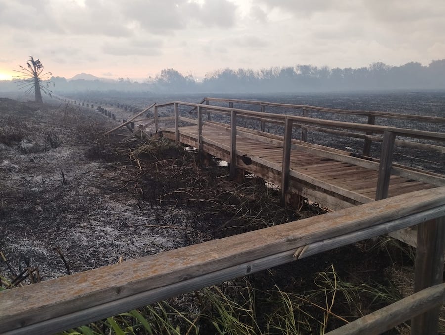 La Hita tras el incendio