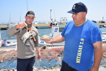 Dos pescadores del Mar Menor muestran un ejemplar capturado de cangrejo azul