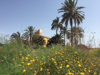 Casa de Fontes, un yacimiento romano en Torre Pacheco