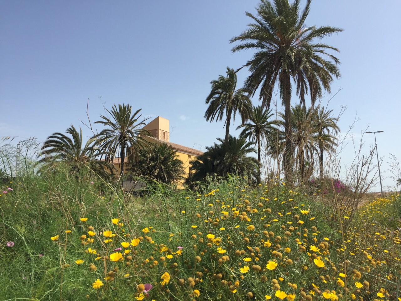 Casa de Fontes, un yacimiento romano en Torre Pacheco