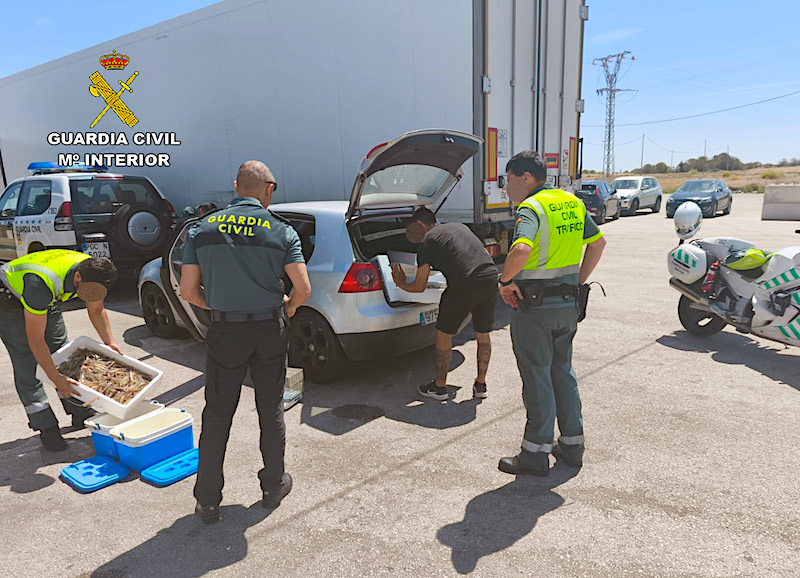 La Guardia Civil registra el contenido del coche donde hallaron los langostinos