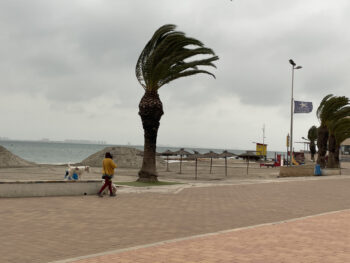 Día de viento en la orilla del Mar Menor