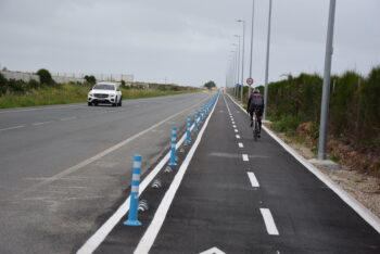 La carretera entre la Ribera y Los Narejos, donde funcionan las dos discotecas