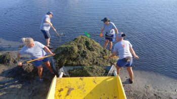 Trabajadoras retiran montones de biomasa de la orilla del Mar Menor