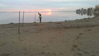 Limpieza de ova en la orilla de Los Urrutias