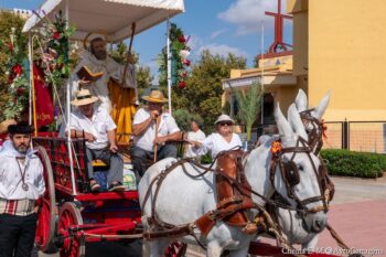 Carros y romeros en honor a San Ginés de la Jara