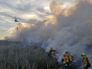 Los bomberos trabajando ayer en el Carmolí con el apoyo de un helicóptero