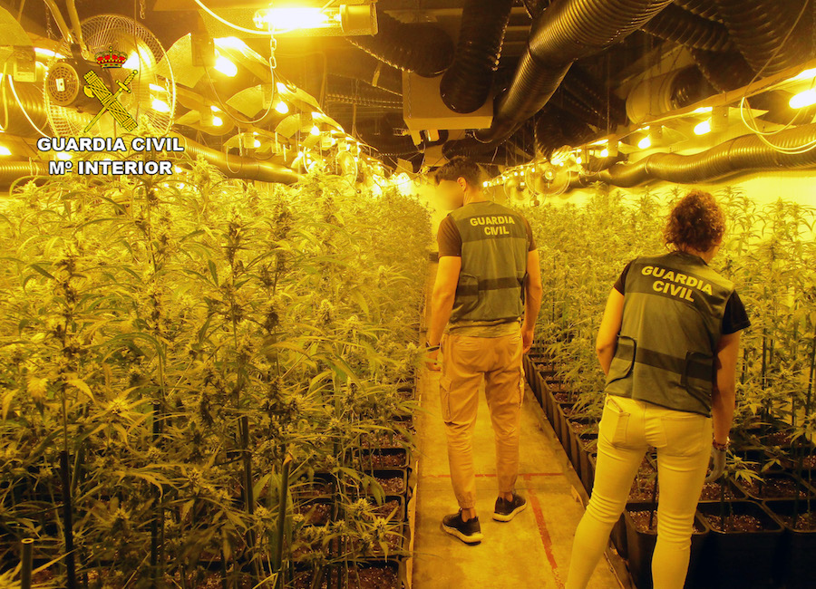 Agentes de la Guardia Civil en un invernadero de marihuana en San Javier