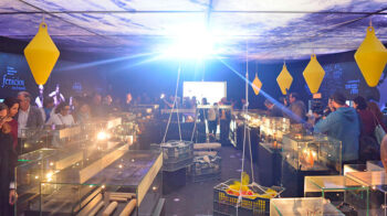 Visita a la exposición sobre el pecio fenicio Bajo de la Campana en ARQVA