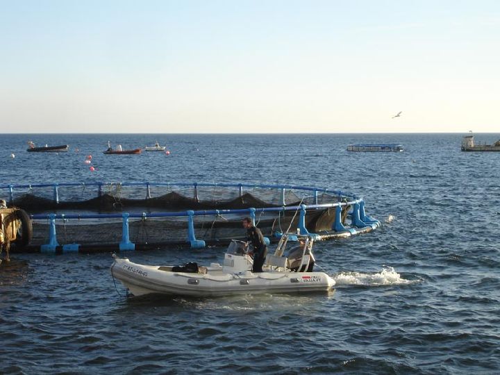 Barco en la costa murciana en un entorno de acuicultura