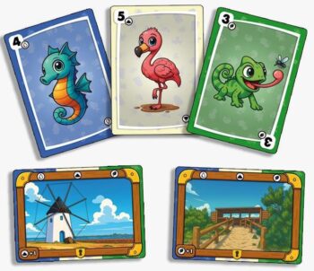 Cartas del juego de mesa Tesoros del Mar Menor con ilustraciones de fauna y paisajes