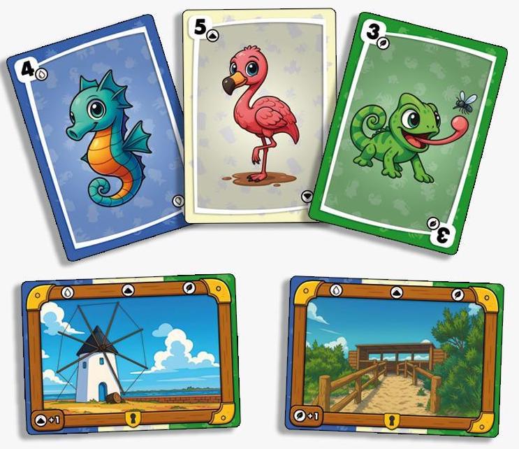 Cartas del juego de mesa Tesoros del Mar Menor con ilustraciones de fauna y paisajes