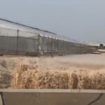 Rambla de La Colonia con fuerte corriente de agua tras lluvias intensas