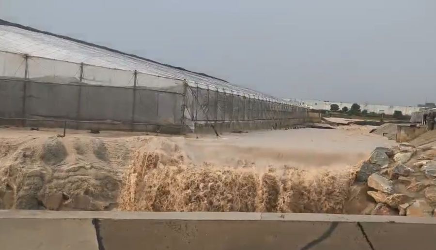 Rambla de La Colonia con fuerte corriente de agua tras lluvias intensas
