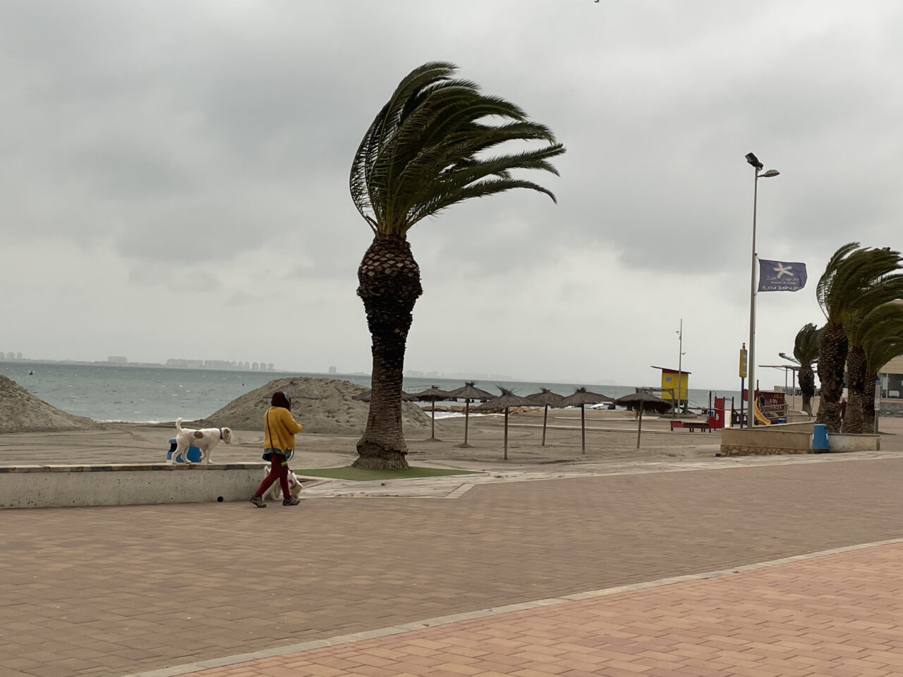 Persona caminando con un perro en la playa durante un aviso de viento