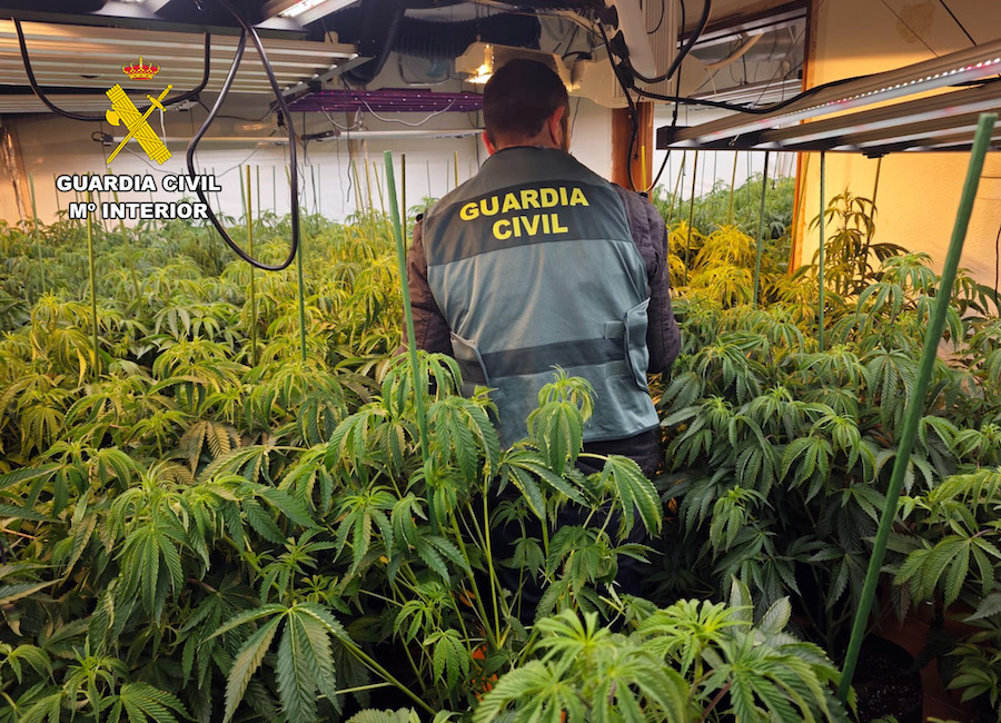Agentes de la Guardia Civil en un invernadero de marihuana