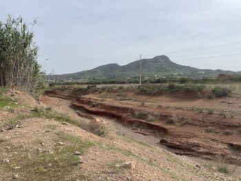Vista de la rambla de Carrasquilla en Cartagena con vegetación y montañas al fondo.