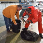 Dos pescadores en el Mar Menor manejando anguilas en un muelle