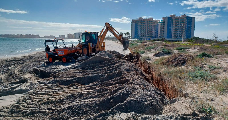 Máquina trabajando en la restauración de dunas en La Manga del Mar Menor