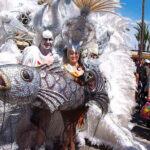 Personas disfrazadas de sardinas en el carnaval de San Javier