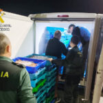 Agentes de la Guardia Civil inspeccionan una furgoneta con merluza inmadura.